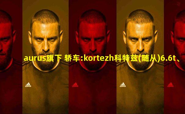 aurus旗下 轿车:kortezh科特兹(随从)6.6t、v12